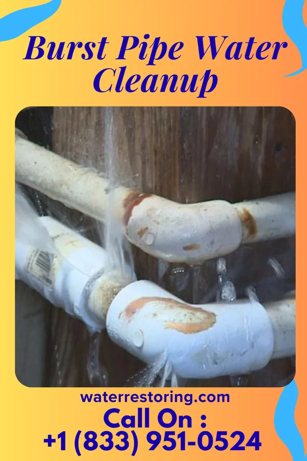 Burst Pipe Water Cleanup in Ackworth, IA