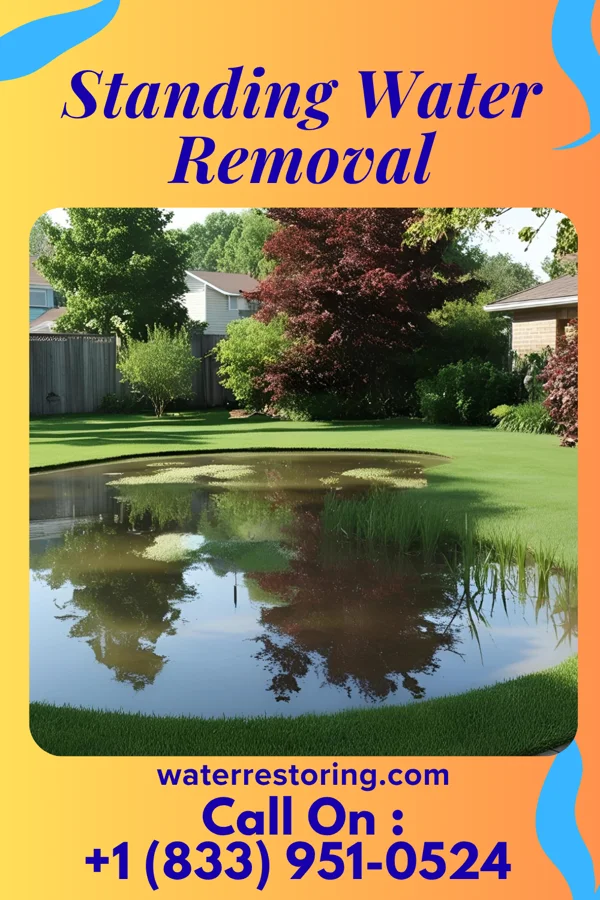 Standing Water Removal in Ackworth, IA